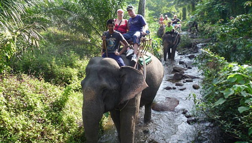 Elephant Trekking & Bathing at Phang Nga